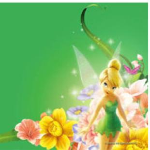 tinkerbell53