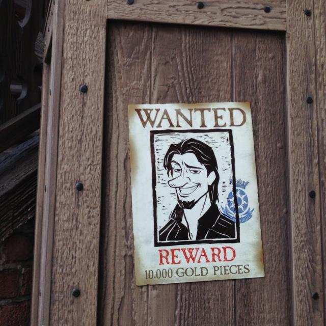 Flynn Rider wanted poster magnets. 